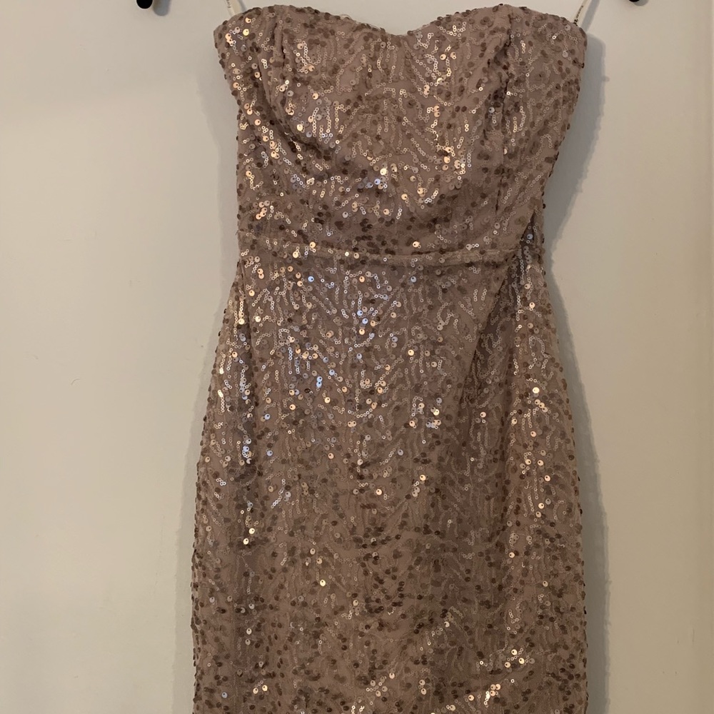Sparkly Body Con Dress